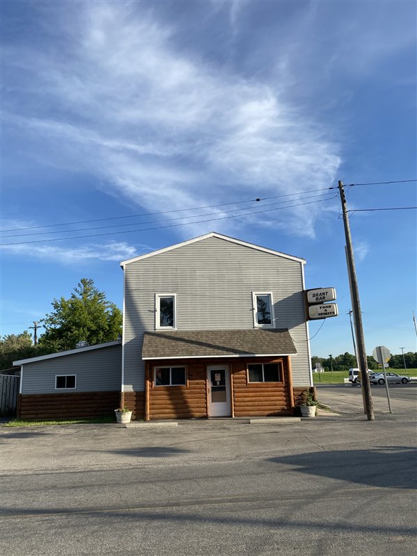 Brant - Brant 6-16-2021 (newer photo)